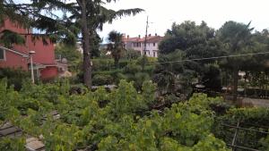 Ein Garten an der Unterkunft Near beach - Apartment Butiga