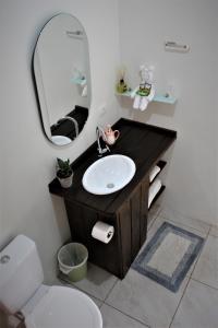 uma casa de banho com um lavatório e um espelho em Garten Chalés em Pomerode