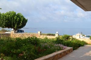 a garden with a tree and the ocean in the background at Romantica Apartments in Falasarna