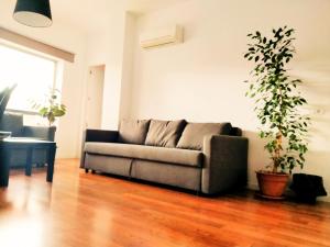 ein Wohnzimmer mit einem Sofa und einer Topfpflanze in der Unterkunft TOLETUM low cost LOFTS diáfanos o 2dormitorios PARKING Municipal Gratis al aire libre a 100m in Toledo