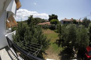 A garden outside Badis Haus