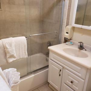 ein Bad mit einer Dusche und einem Waschbecken in der Unterkunft Grey Squirrel Resort in Big Bear Lake