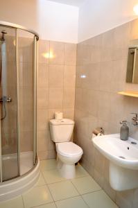 a bathroom with a toilet and a sink and a shower at KAMIENICA Pokoje & Restauracja in Opalenica +50 photos