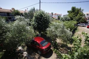 A garden outside Badis Haus