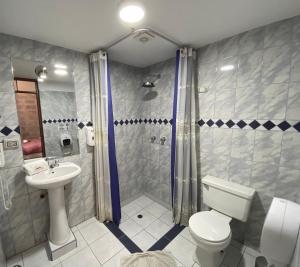 a bathroom with a toilet and a shower and a sink at Hotel Casona Solar in Arequipa