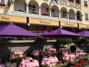 Imagen de la galería de Hotel de l' Esplanade, en Remich