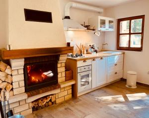 a kitchen with a fireplace in the middle of it at Pine Lodge in Hlevci