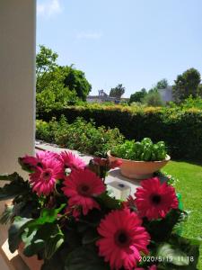 A garden outside Casa de la Luna