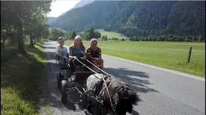 ザールフェルデン・アム・シュタイナーネン・メアーにあるMussbachhofのギャラリーの写真