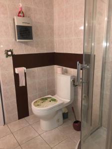 Saint-Laurent-en-Royans的住宿－OKAMI DU VERCORS，一间带卫生间和淋浴的浴室