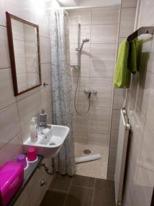 Kúpeľňa v ubytovaní Apartman Őri