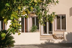 Zahrada ubytování Hotel Comendador