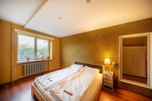 a bedroom with a large bed and a window at Wonderful Apartment in the City Center in Šiauliai