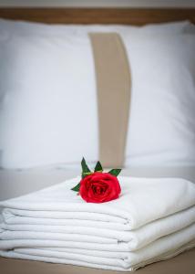 una rosa rossa seduta sopra asciugamani bianchi di Zeyn Otel Istanbul a Istanbul
