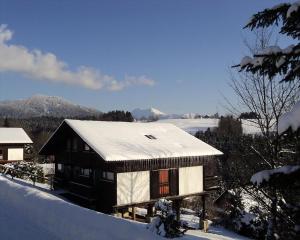 una casa con techo cubierto de nieve en la nieve en Ferienwohnung Teddy, en Siegsdorf
