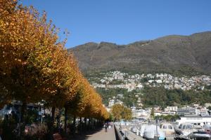 Příroda nedaleko apartmánu + 2 fotografie