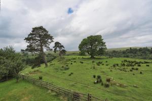 a field with a fence and trees on a hill at Northumberland-Hideaways in Kielder