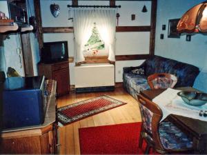 uma sala de estar com uma árvore de Natal na janela em Ferienwohnung Hirtenhaus em Attendorn