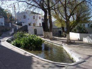 ZagrillaにあるSierra Alcaideの木々の小さな池