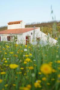 un champ de fleurs devant un bâtiment dans l'établissement Casas de Campo de Vale de Junco, à Envendos