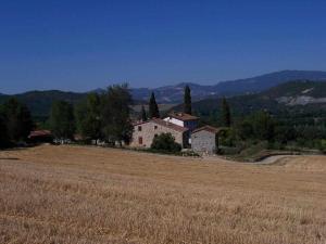 Príroda v okolí of the country house
