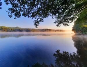 vistas a un lago con niebla en el agua en Przystań na Zagórzu - Apartamenty nad jeziorem, en Drezdenko