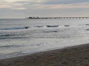 プエルト・デ・サグントにあるMediterrania Pinazoの波の波が浮かぶ海岸