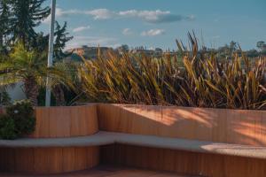 Giardino di TERRAZA 10