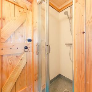 a shower stall with a glass door in a bathroom at Tree house in Zuna
