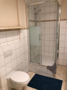 un bagno con wc e doccia in vetro di Ferienwohnung Herzberg a Gründau