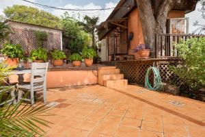 a patio with a white chair and some plants at Smileys Apartment in Willemstad