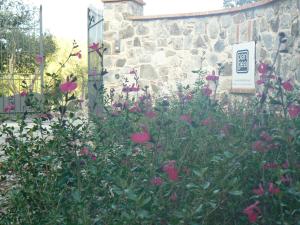 Galeriebild der Unterkunft Pangea Villa 8 - Usually min 7 nights in Seggiano