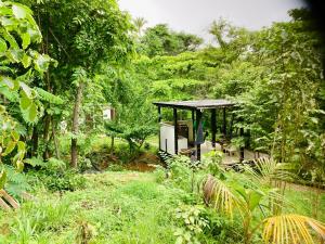 a garden with a pavilion in the middle of a forest at Irie Town in San Andrés