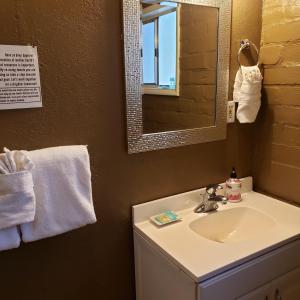 a bathroom with a sink and a mirror at Grey Squirrel Resort in Big Bear Lake