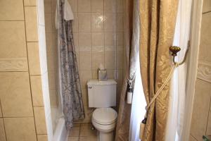 a bathroom with a toilet and a shower curtain at Morris House Hotel in Philadelphia