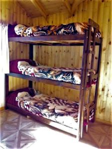 Bunk bed o mga bunk bed sa kuwarto sa Hostel Andino