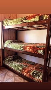 Bunk bed o mga bunk bed sa kuwarto sa Hostel Andino
