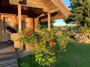 a wooden house with red flowers on the porch at Kangru Holiday Home in Vanamõisa