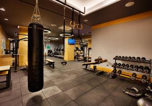 Fitness centrum a/nebo fitness zařízení v ubytování Holiday Inn Istanbul - Kadikoy by IHG