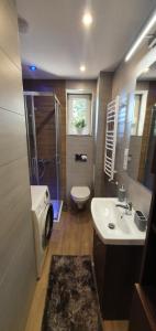 a bathroom with a sink and a shower and a toilet at Apartament A&S Widok w Wałbrzychu in Wałbrzych