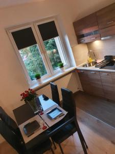 Kuchyňa alebo kuchynka v ubytovaní A&S Apartments - WIDOK