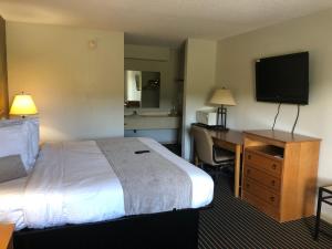 Timmonsville的住宿－蒂蒙斯維爾經濟型旅館，酒店客房配有一张床、一张书桌和一台电视。