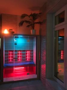 Tó- Party Panoráma Panzió & Wellness في Kiszombor: غرفة بها أضواء حمراء وأزرق على نافذة