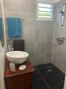 a bathroom with a sink and a shower at cocon caraibe in Sainte-Anne