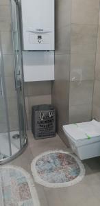 a bathroom with a shower and a toilet and a rug at Apartman ZELENA BAJKA- Bjelašnica in Bjelašnica