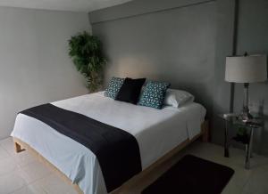 Кровать или кровати в номере Downtown Hostel Chetumal