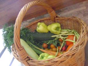 Φωτογραφία από το άλμπουμ του Pansion CASA GAGRO σε Međugorje