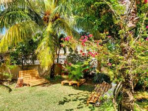 a garden with two benches and a palm tree at Surf House in La Gaulette