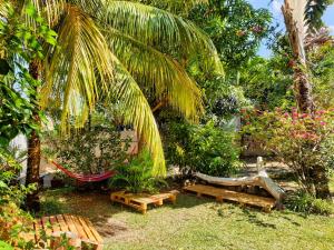 a garden with a hammock and a palm tree at Surf House in La Gaulette