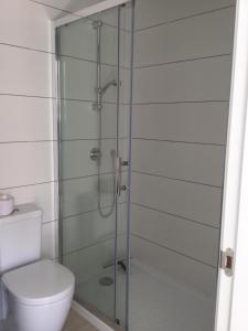 La salle de bains est pourvue d'une douche en verre et de toilettes. dans l'établissement Apartament Orhidea, à La Mata